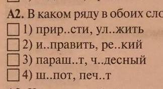 В каком ряду слова в обоих словах пропущена одна и та же буква