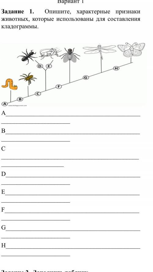 Опишите, характерные признаки животных, которые использованы для составления кладограммы. ABC DEFGH