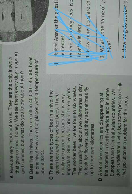 3** Read the text again. Are the sentences true or false?A lot of different insects give us food. fa