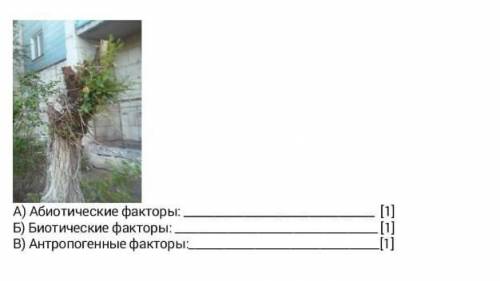 4. Ежегодно на улицах города проходит обрезка тополей - топпинг. Деревья обрезают под столб, т.е. по