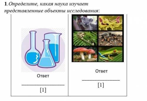 Определите, какая наука изучает представленные объекты исследования:​