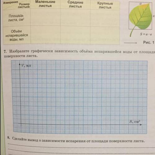 Лаб.работа номер 5 за 9 класс. Злыдарева.А.М