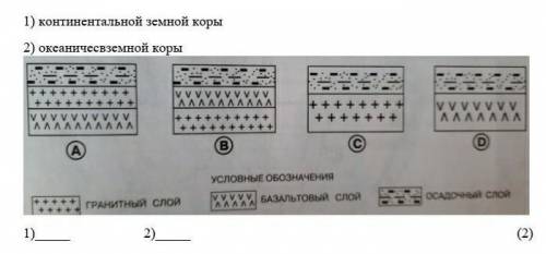 Определите на каком рисунке правильно показано строение 1) континентальной земной коры2) океаничесвз