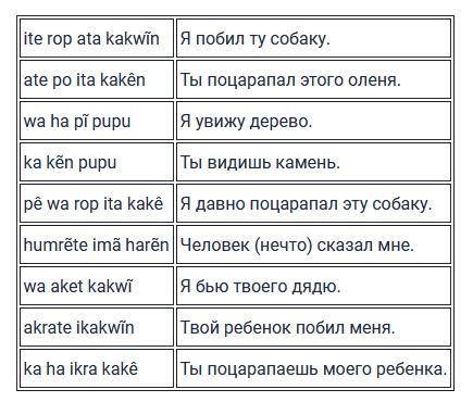 Переведите на язык канела: Собака (нечто) сказала тебе. Переведите на язык канела: Ты давно поцарапа