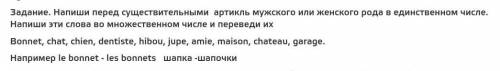 Артикли перед существительными ж/м рода. просто проверьте правильно ли я расставила:La chat- Les cha