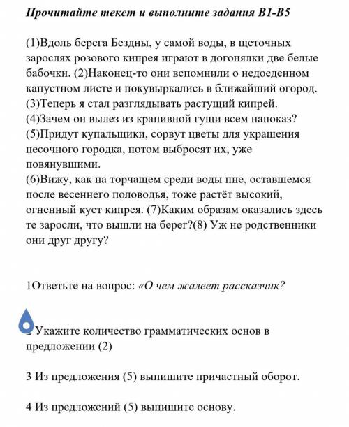 по русскому языку. Нужно прочитать текст и ответить на вопросы