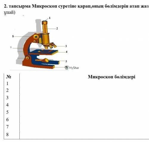 помагите это олипида жп жп