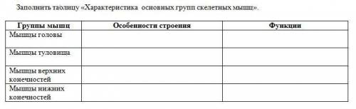 с таблицей «Характеристика основных групп скелетных мышц».