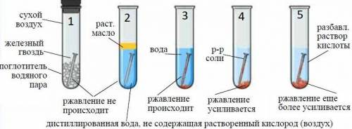 А) Почему не заржавела в 1-2 пробирках. Объясните [1]Б) Причина появления ржавчины на железном гвоз