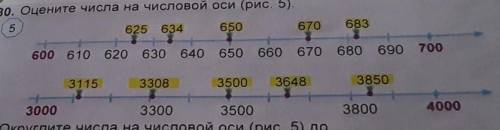 80. Оцените числа на числовой оси 625 634 650670 6831)600 610 620 630 640 650 660 670 680 6907003115