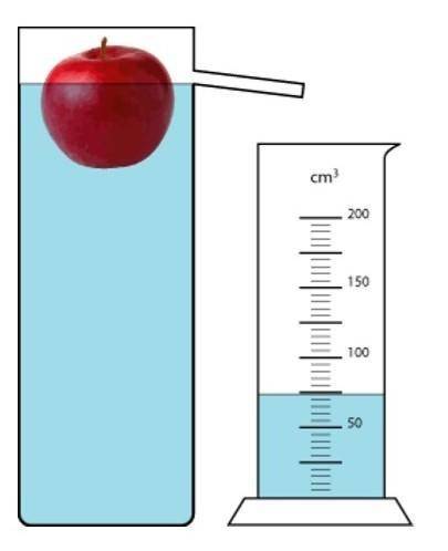 Мирдза и Том решили определить плотность яблока. Взвесив яблоко они установили, что его масса равна