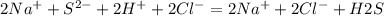 2Na^{+} + S^{2-} +2H^{+} + 2Cl ^{-} = 2Na^+ + 2Cl^- + H2S