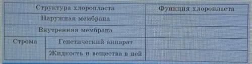 Проанализируйте характерные признаки и определите связь между ними и структурами хлоропласта, заполн
