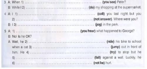 Complete the sentences using the Past Simple or the Past Continuous.