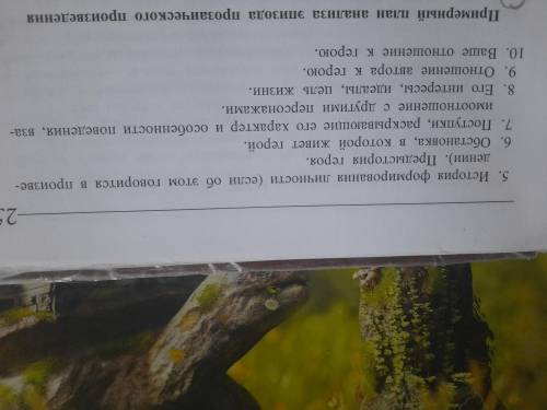 очень надо составить характеристику Маши Мироновой из повести,, Капитанская дочка по плану пристёг