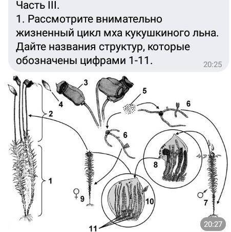 ... интелектуалы подпишите цифры​