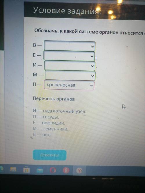 Обозначил, к какой системе органов относится орган, обозначенных каждой буквой