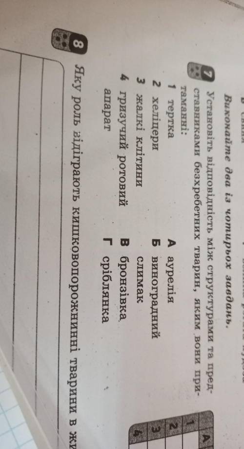 7 Установіть відповідність між структурами та пред-ставниками безхребетних тварин, яким вони при-там