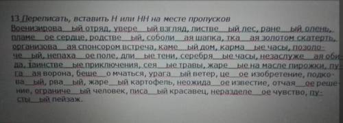 с русским (не успеваю) Нужно вставить одну или две -н-