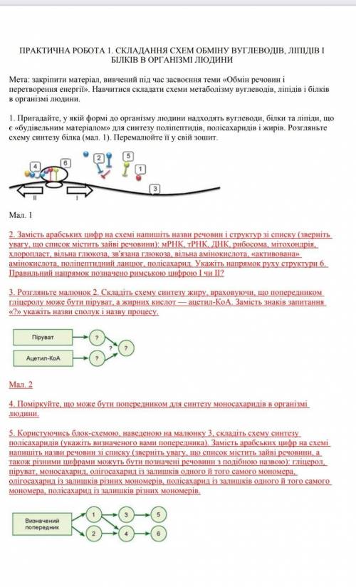 практическая по биологии 10 класс Складання схем обміну вуглеводів, ліпідів і білків у організмі лю