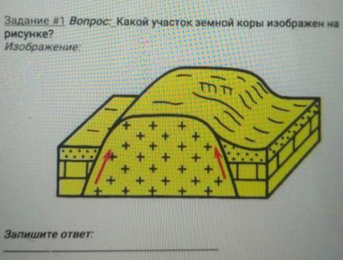 Какой участок земной коры изображен на рисунке?Изображение по географии