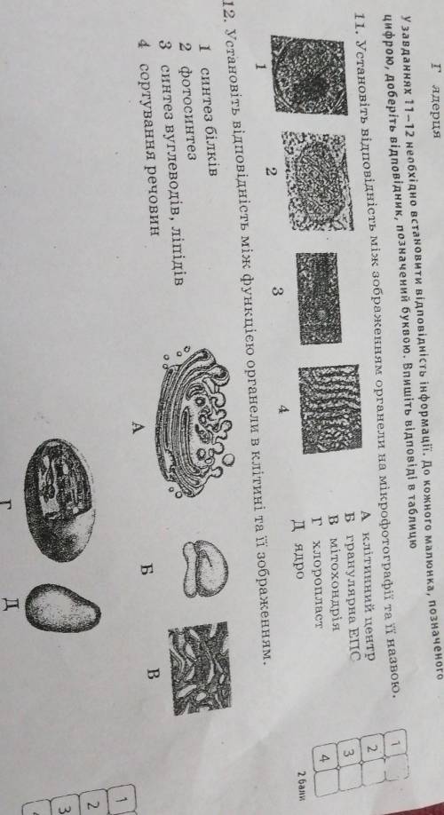 с тестом я прикрепил фото, биология структура клітини ​
