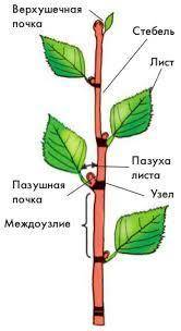 потратите время на меня(​