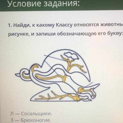 1. Найди, к какому классу относятся животные, схема одной из систем органов которых представлена на