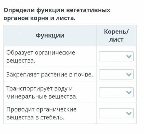 Определи функции вегетативных органов корня и листа.ФункцииКорень/листОбразует органические вещества