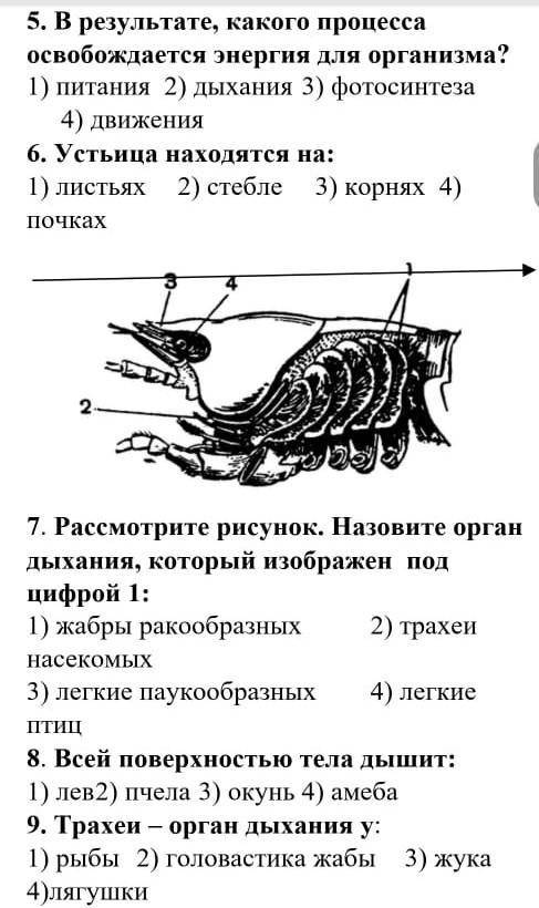 с тестом. или даже все