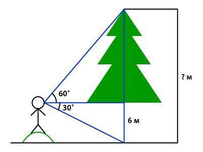 Человек, находясь на возвышении, видит вершину сосны под углом 60°, а основание сосны – под углом 30