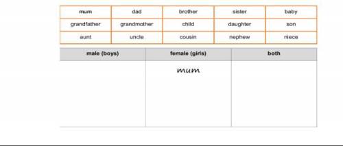 Рузгрупируйте слова по трём столбикам: male(мужской), female(женский), both(мужской и женский оба)