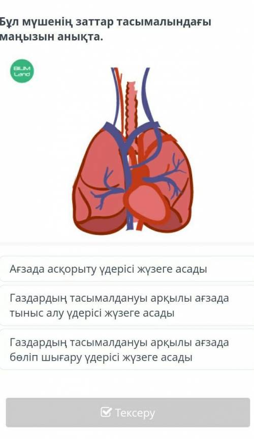 Көмектесіп жіберіндерші​