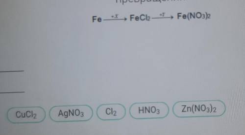 Укажите,что является веществом X и Y в цепочке превращения. CuCl2 AgNO3 Cl2 HNO3 Zn(No3)2 ​