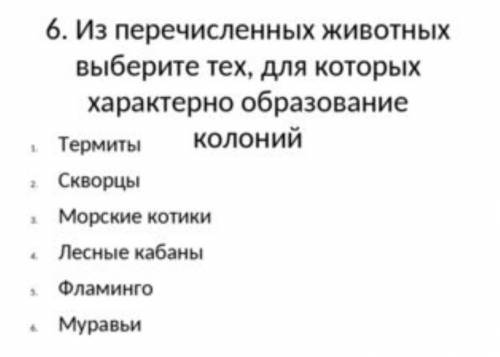 Кто знает для каких животных?​