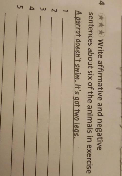 4 *** Write affirmative and negative sentences about six of the animals in exercise 3.Тезірек көмект