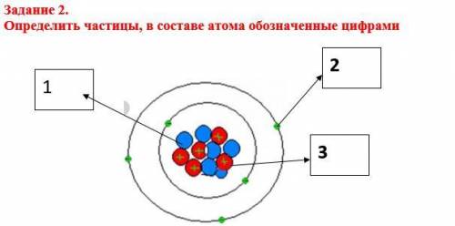 Определить частицы, в составе атома обозначенные цифрами