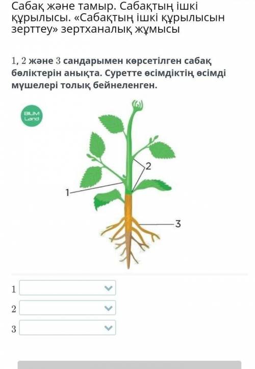 Көмек керк дәл қазір​