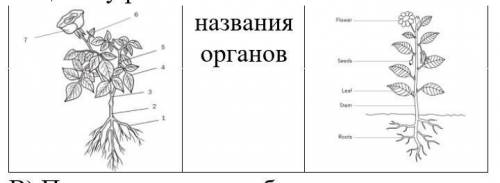 быстрей чтобы все было понятно 3.Глоссарий. Впечатайте определения. Выучите определения наизусть.Кор