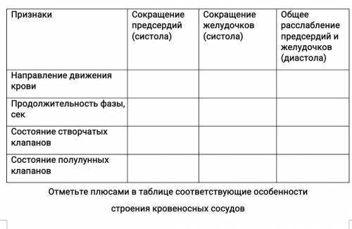 Отметьте плюсами в таблице соответствующие особенности строения кровеносных сосудов