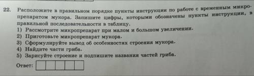 Расположите в правильном порядке пункты инструкции по работе с временным микропрепаратом мукора. Зап