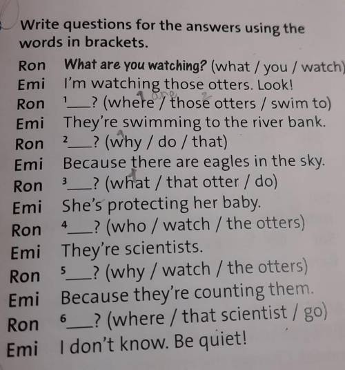 3. Write questions for the answers using the words in brackets.