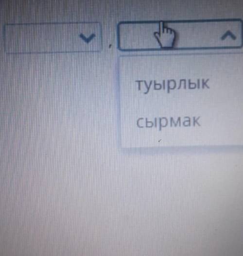 Для покрыти каркаса казахской юрты использовали войлочные изделия 1)Алаша или узик2)турлык или сырма