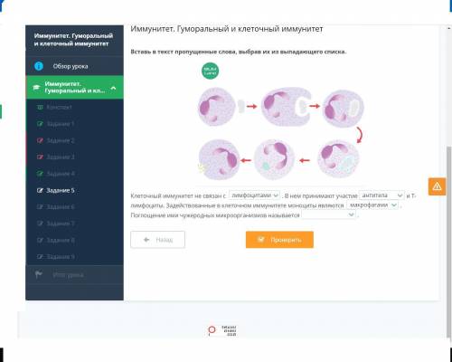 Вставь в текст пропущенные слова, выбрав их из выпадающего списка