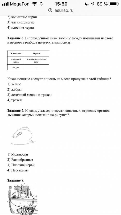 Контрольная работа по зоологии. Тема «Беспозвоночные животные». Вариант 2