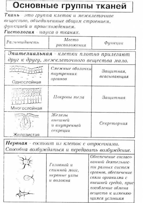 Здравствуйте с биологией 8 класс. )Задание:Найдите СХОДСТВА тканей растений и тканей людей.(учитель