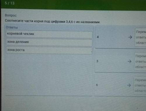 соотнесите части корня под цифрами 3,4,6 с их названиями​