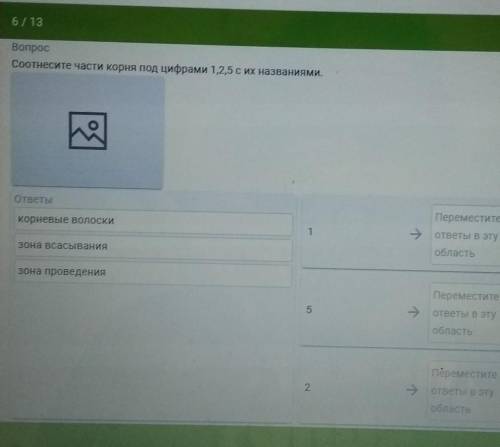 ЗА ОТВЕТ Соотнесите части корня под цифрами 1,2,5 с их названиями.Заранее