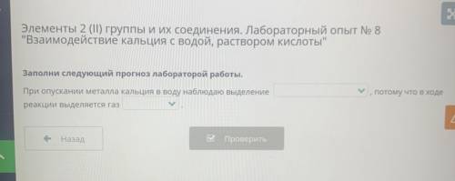 Заполни следующий прогноз лабораторной работы