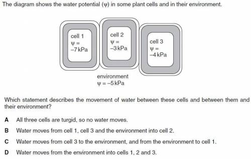 Какое утверждение описывает движение воды между этими клетками и между ними и их средой? A Все три к